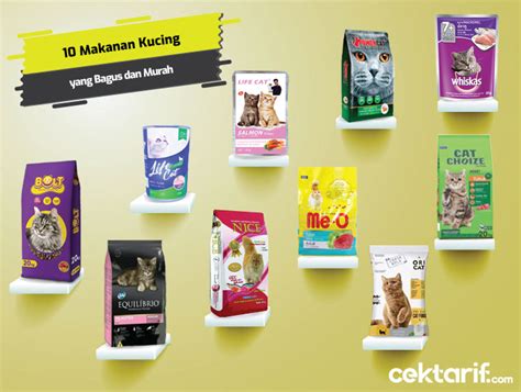 Aplikasi Jadi Kucing Indonesia